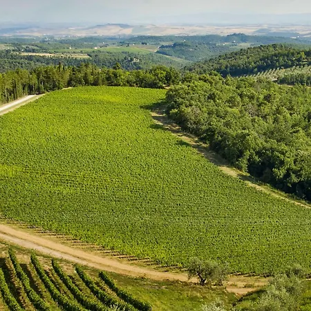 Stunning In With Wifi Holiday home Greve in Chianti